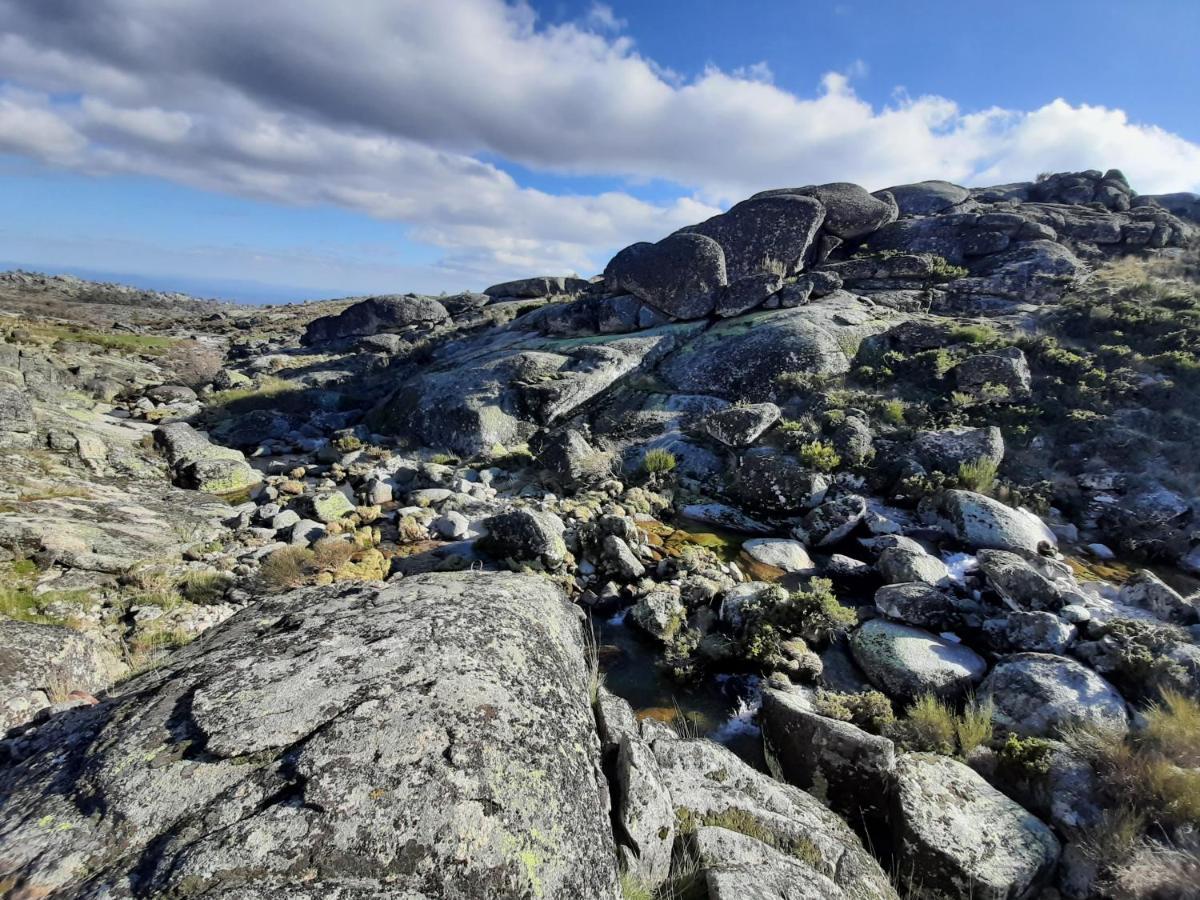 Casa Da Bela Vista - Serra Da Estrela 科维良 外观 照片