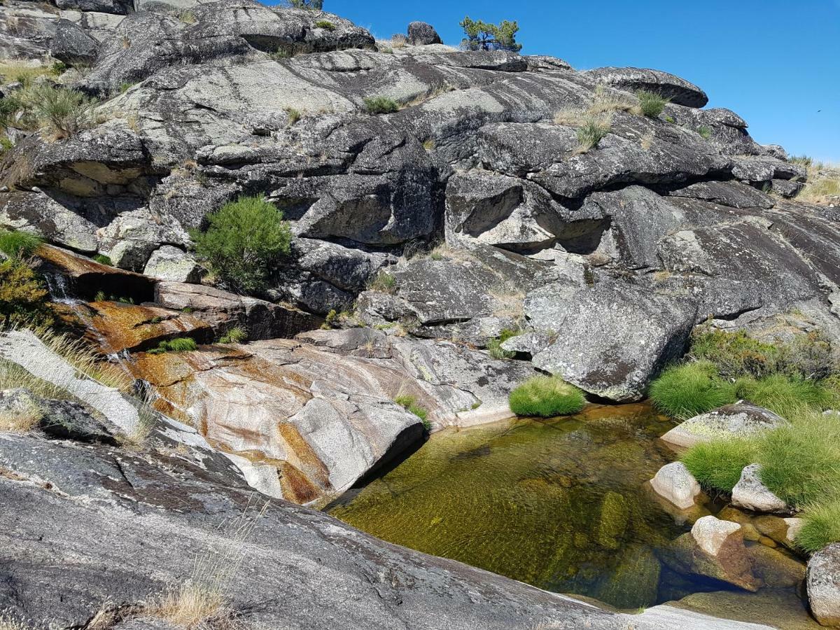 Casa Da Bela Vista - Serra Da Estrela 科维良 外观 照片