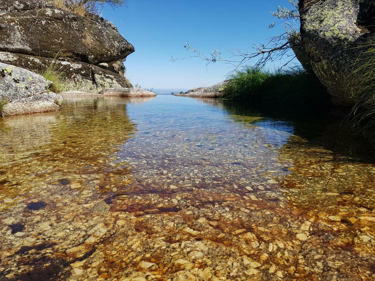 Casa Da Bela Vista - Serra Da Estrela 科维良 外观 照片